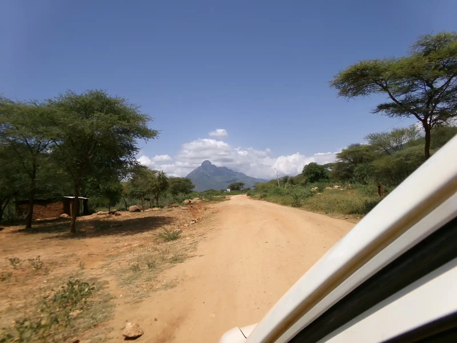 Hills rising beyond the scrub